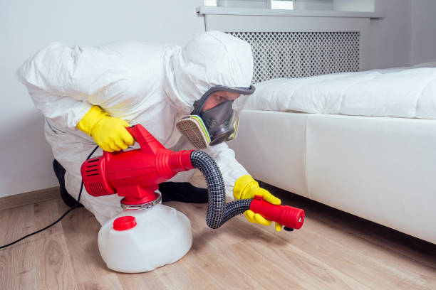 Best Emergency Pest Control  in Waynesville, MO