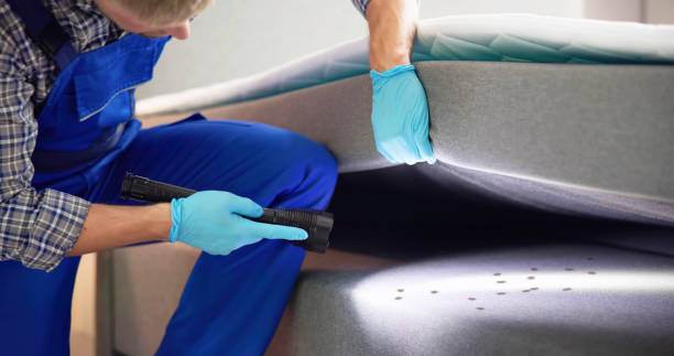 Best Pest Removal Services  in Waynesville, MO