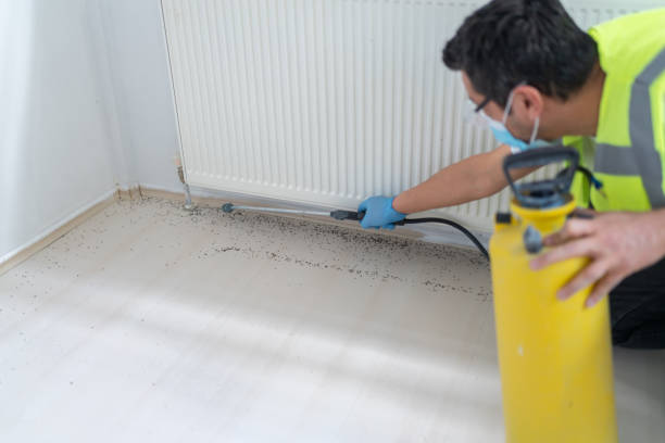 Best Bed Bug Extermination  in Waynesville, MO
